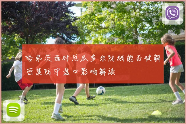 哈弗茨面对厄瓜多尔防线能否破解密集防守盘口影响解读