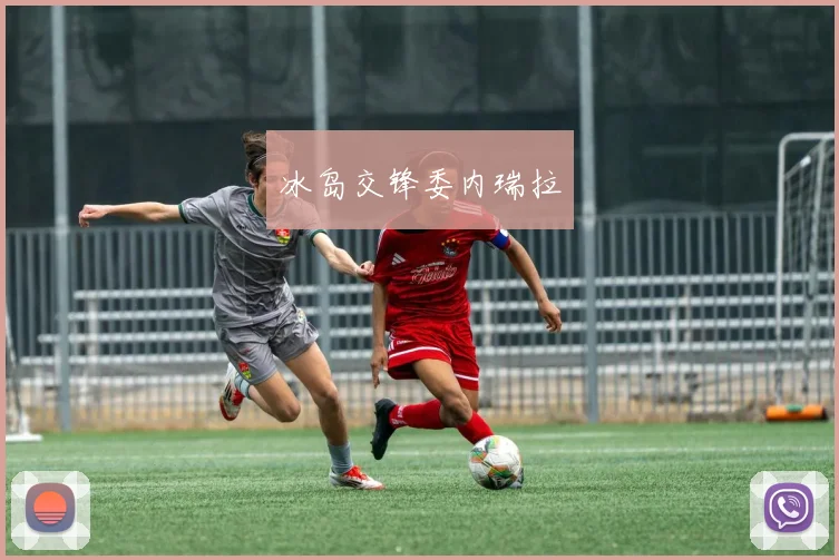 冰岛交锋委内瑞拉