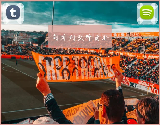 匈牙利交锋南非