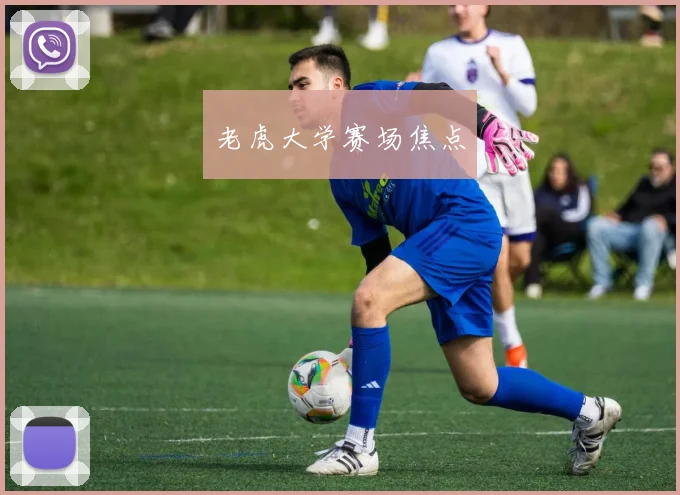 老虎大学赛场焦点
