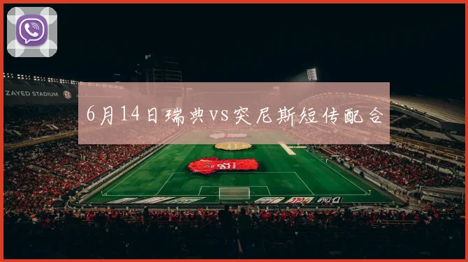 6月14日瑞典vs突尼斯短传配合