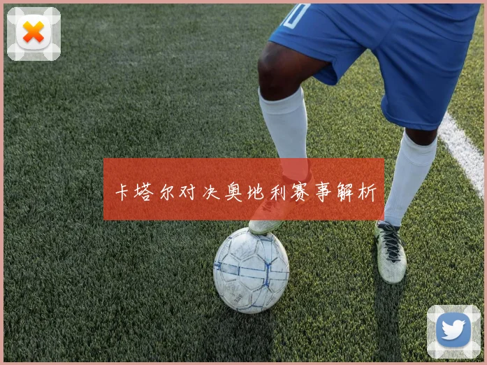 卡塔尔对决奥地利赛事解析