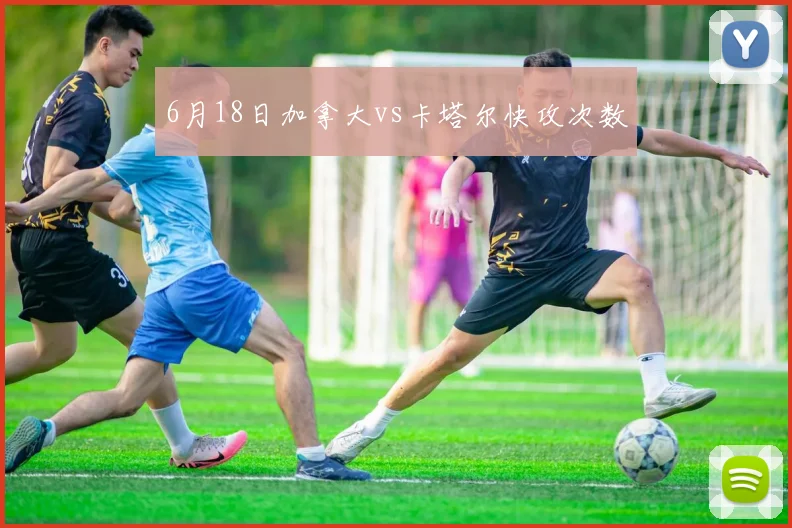 6月18日加拿大vs卡塔尔快攻次数